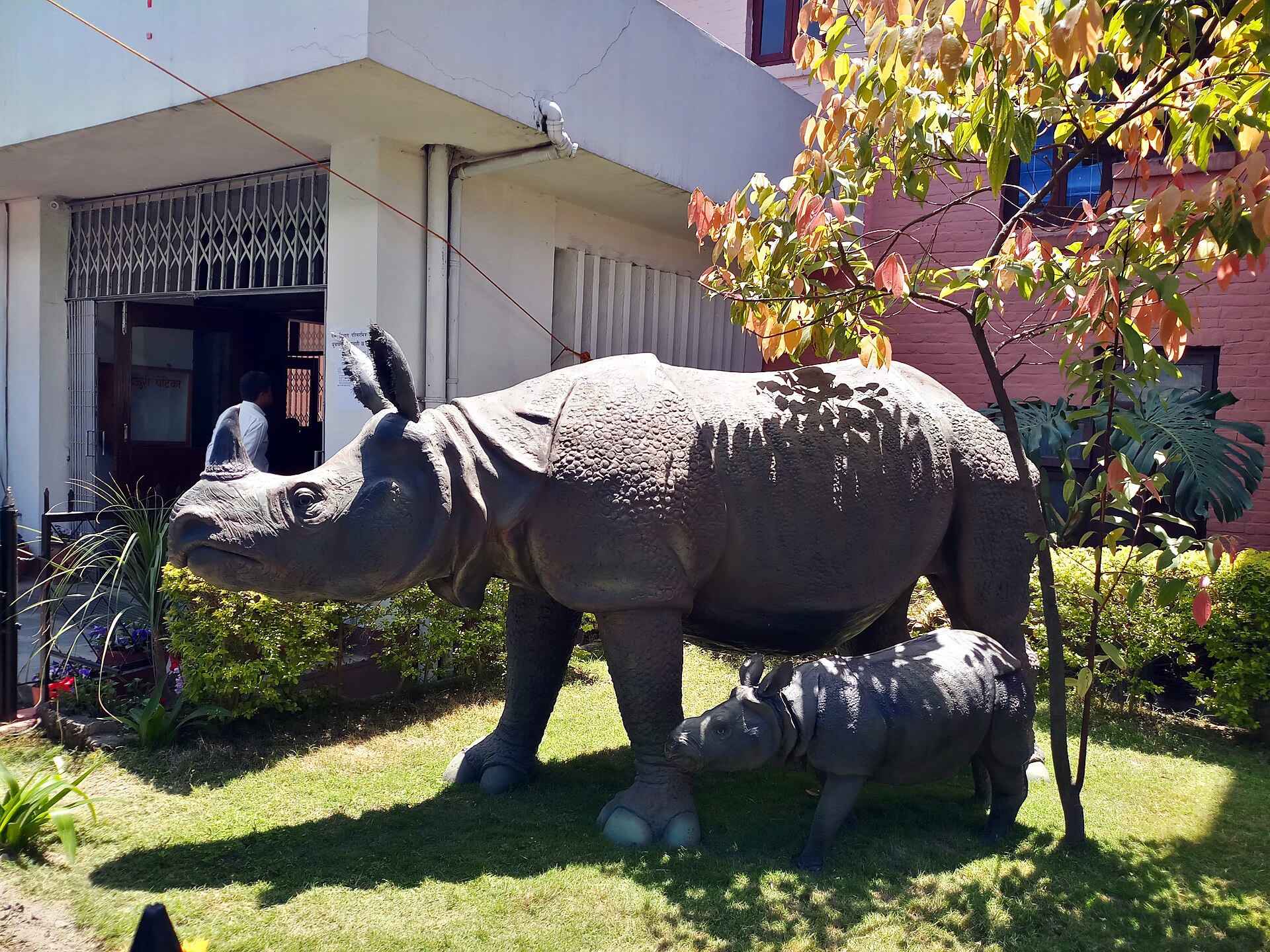 Wildlife in Nepal — Nepal