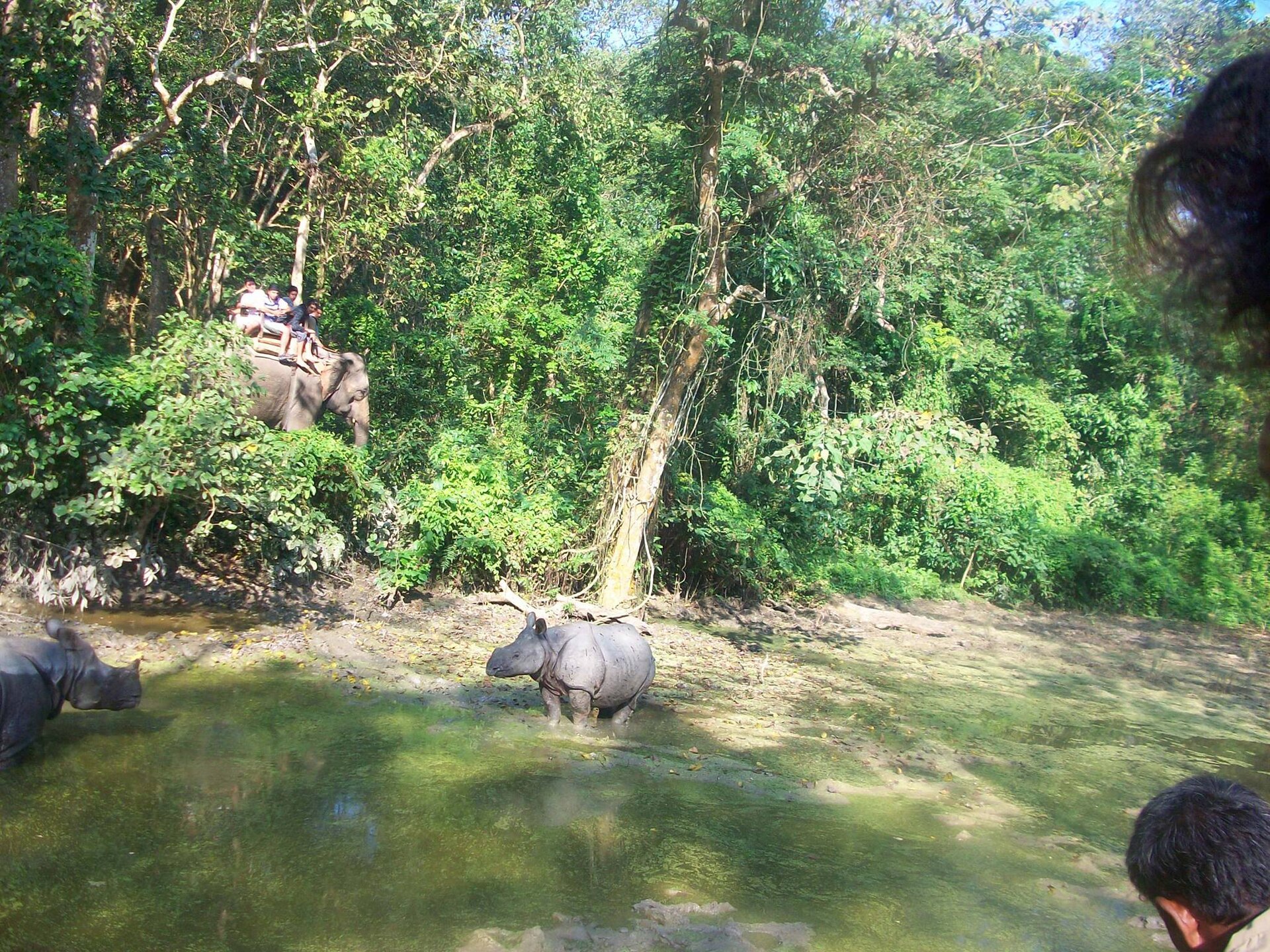 Chitwan National Park — Nepal