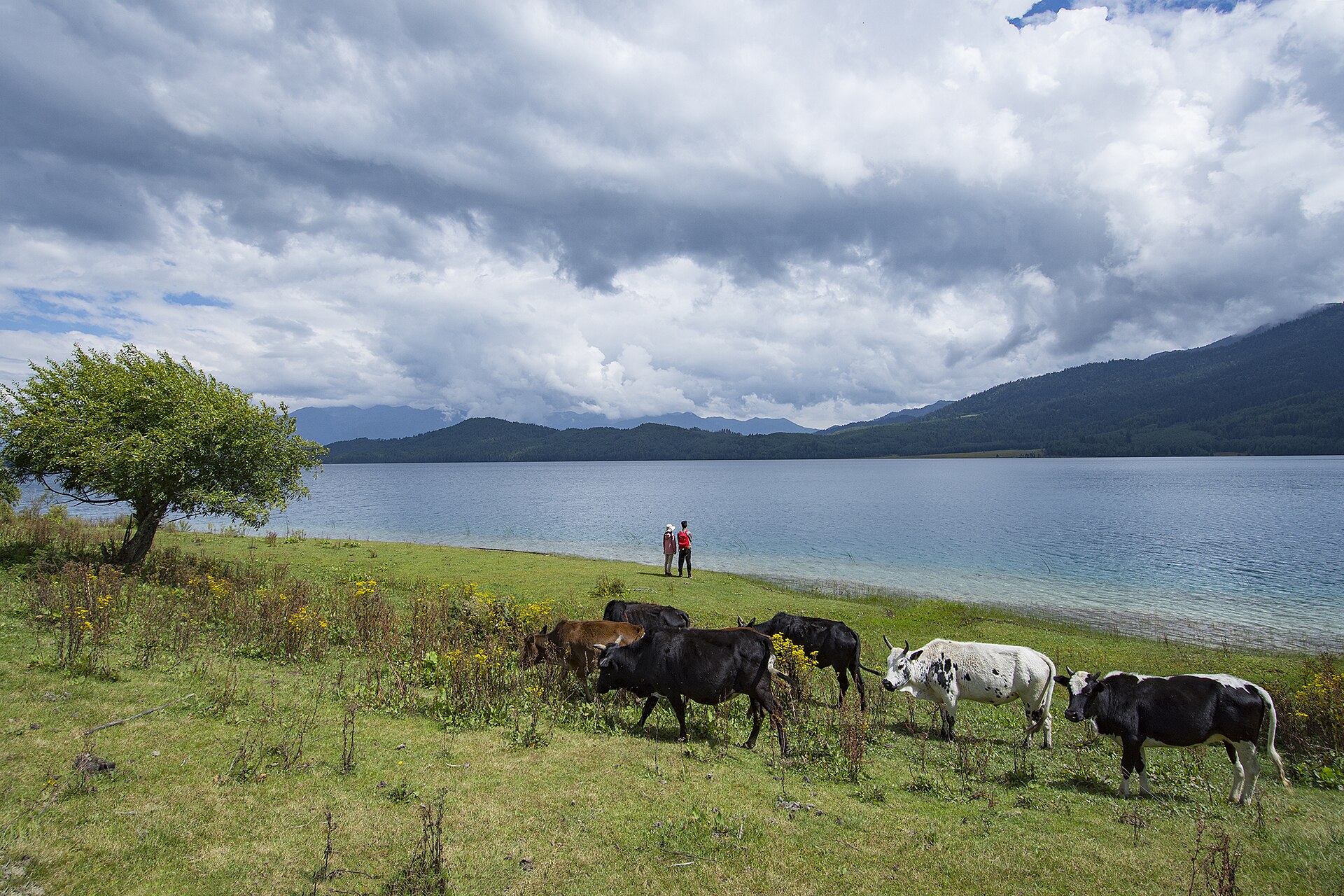 Rara Lake — Nepal